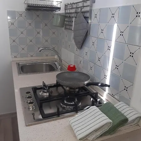 아파트 Orleans *